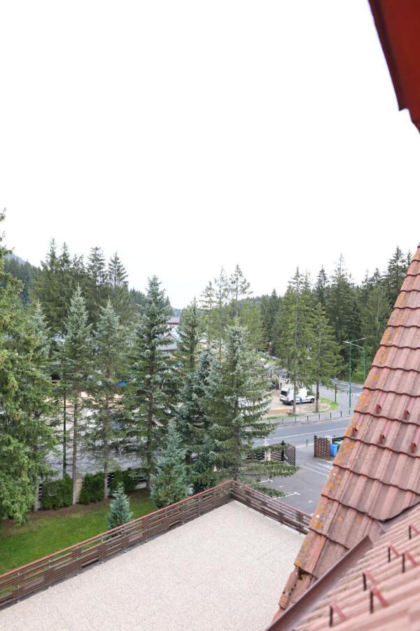 Vila Pinul Si Mesteacanul Poiana Brasov Buitenkant foto