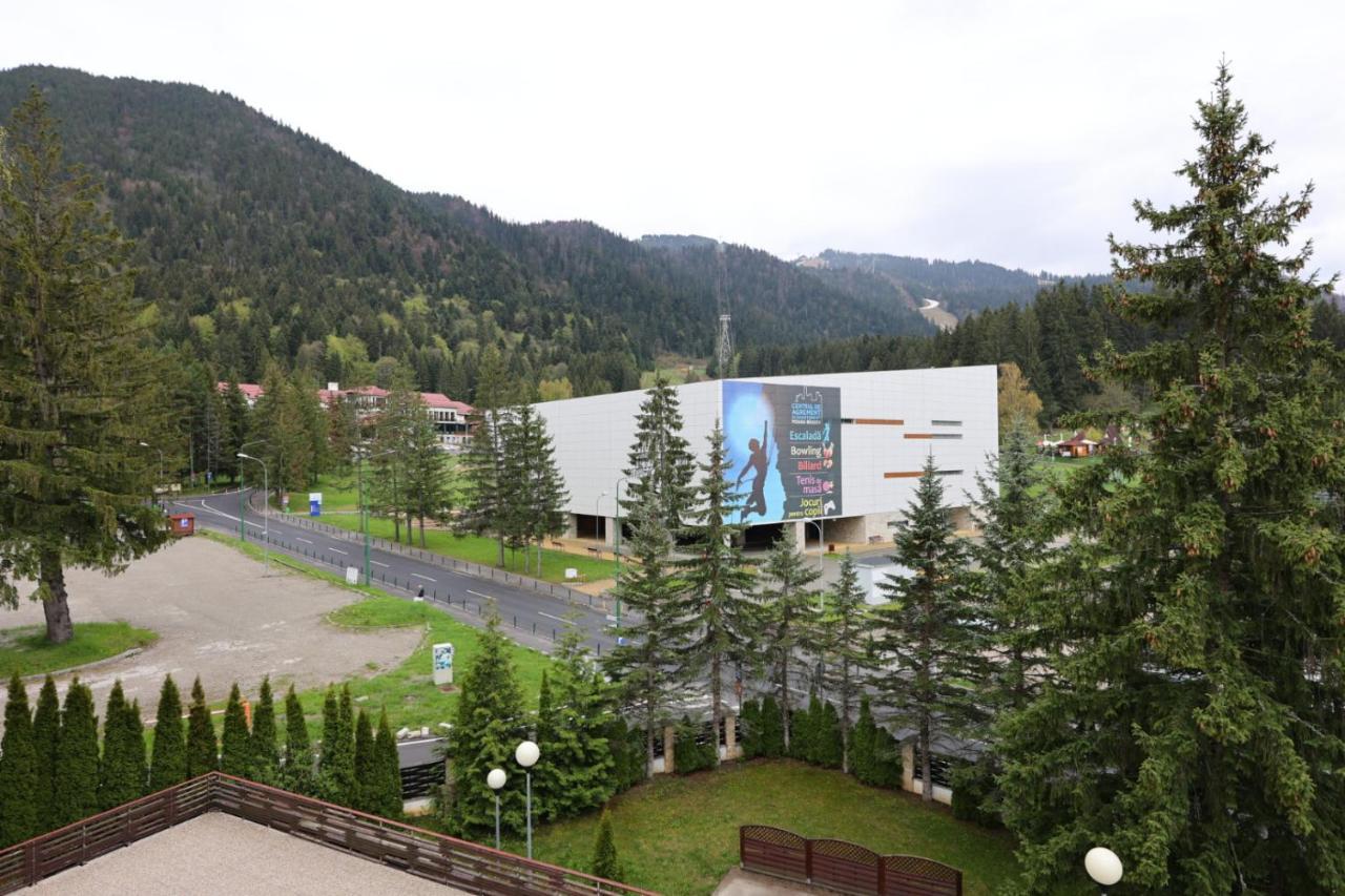 Vila Pinul Si Mesteacanul Poiana Brasov Buitenkant foto