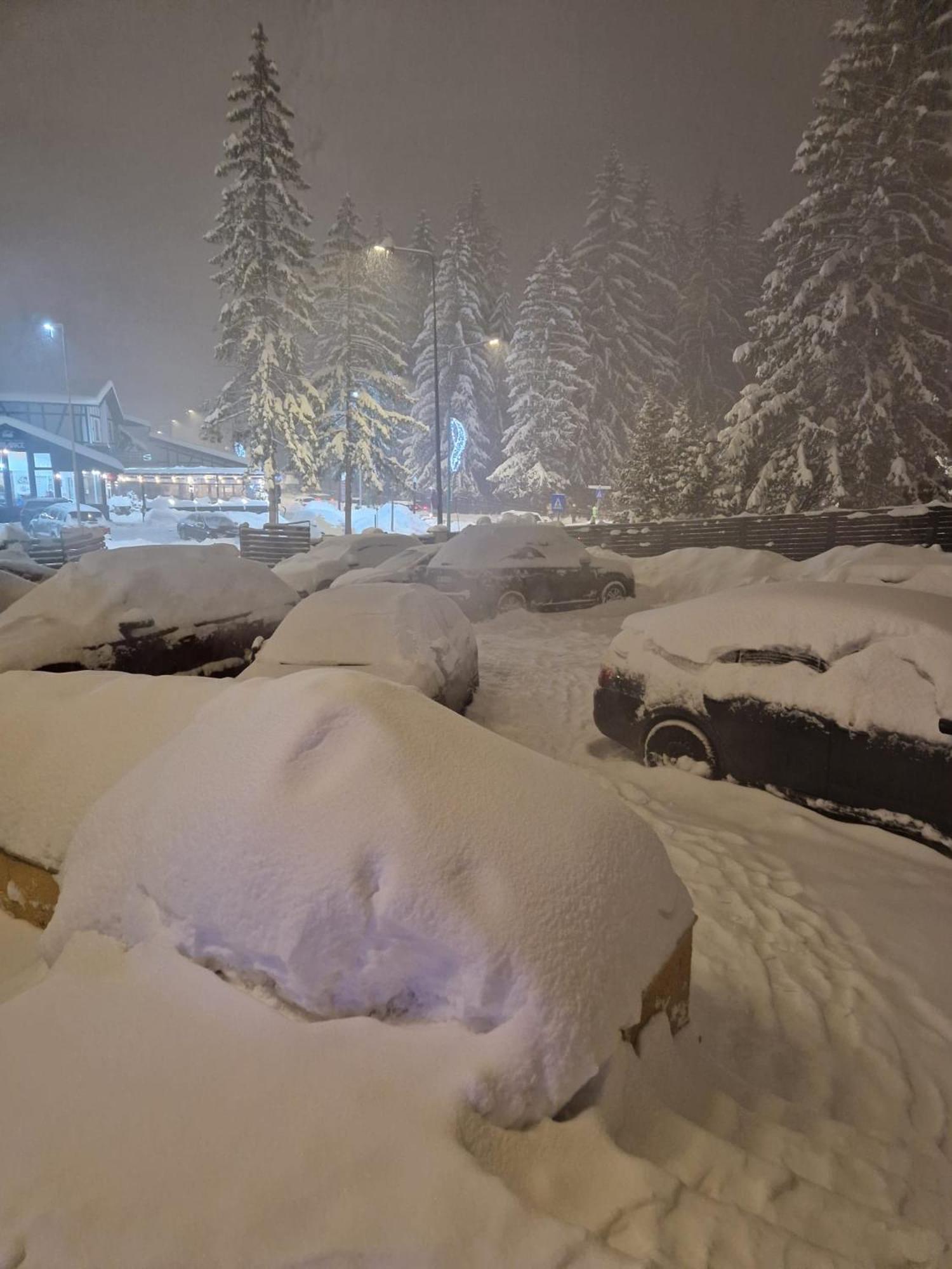Vila Pinul Si Mesteacanul Poiana Brasov Buitenkant foto
