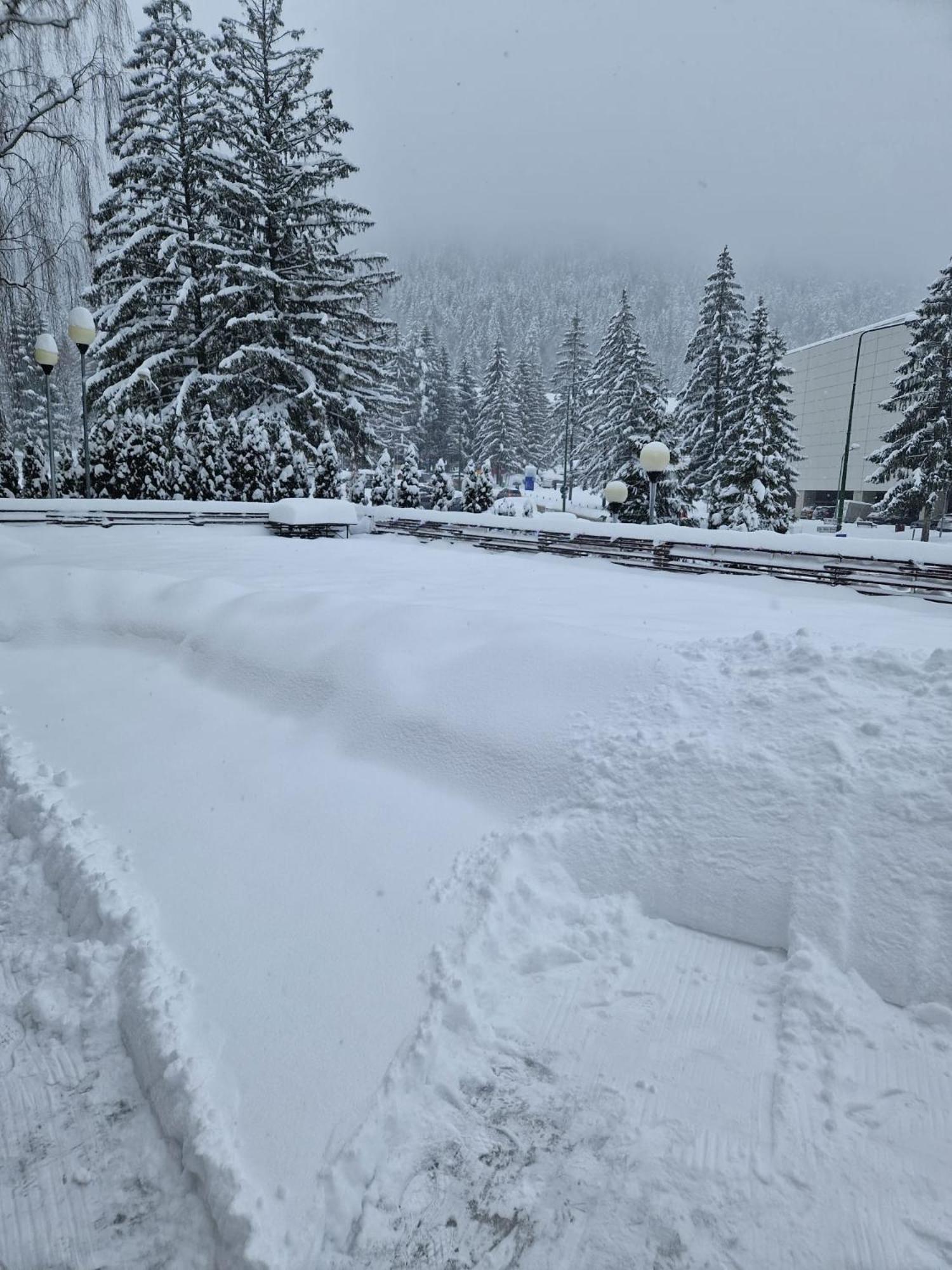 Vila Pinul Si Mesteacanul Poiana Brasov Buitenkant foto