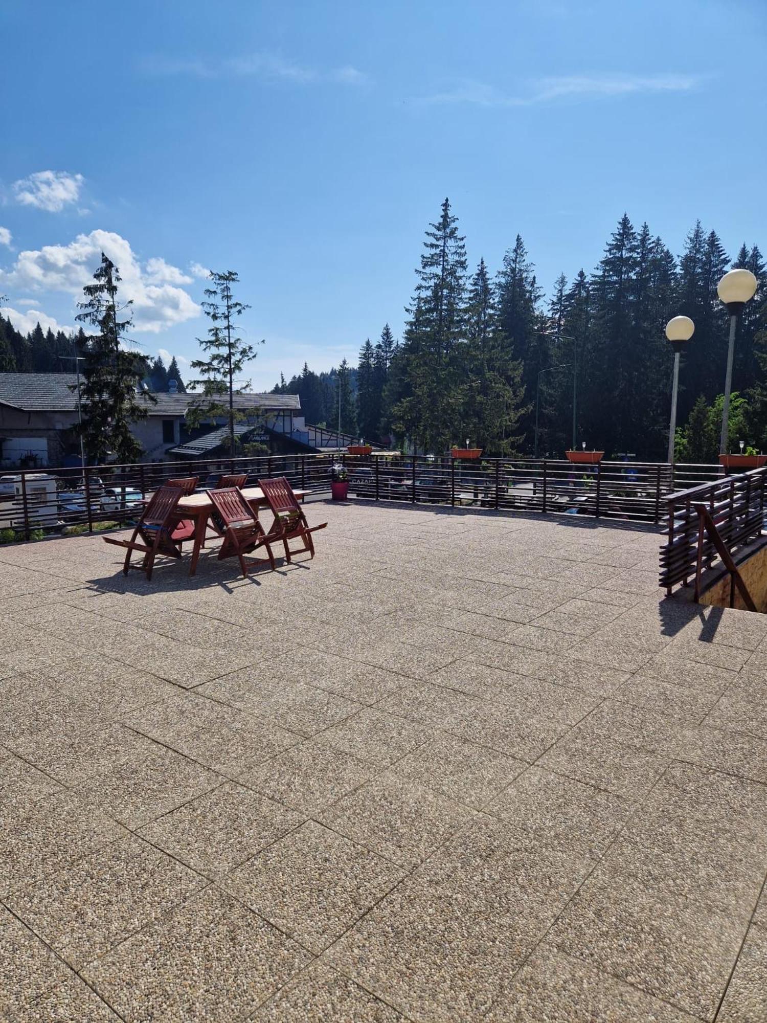 Vila Pinul Si Mesteacanul Poiana Brasov Buitenkant foto