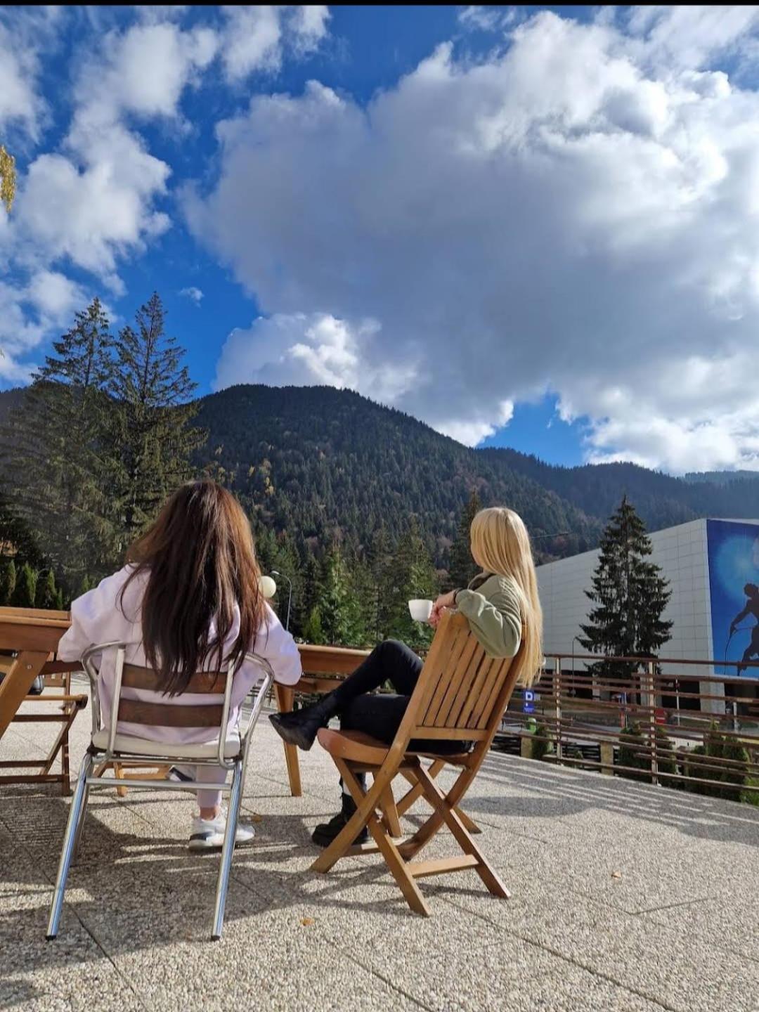 Vila Pinul Si Mesteacanul Poiana Brasov Buitenkant foto
