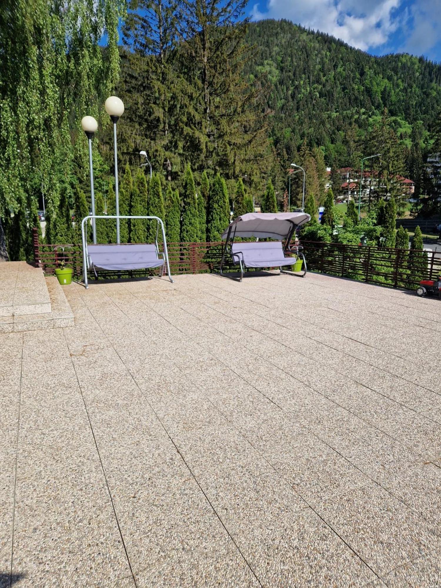 Vila Pinul Si Mesteacanul Poiana Brasov Buitenkant foto