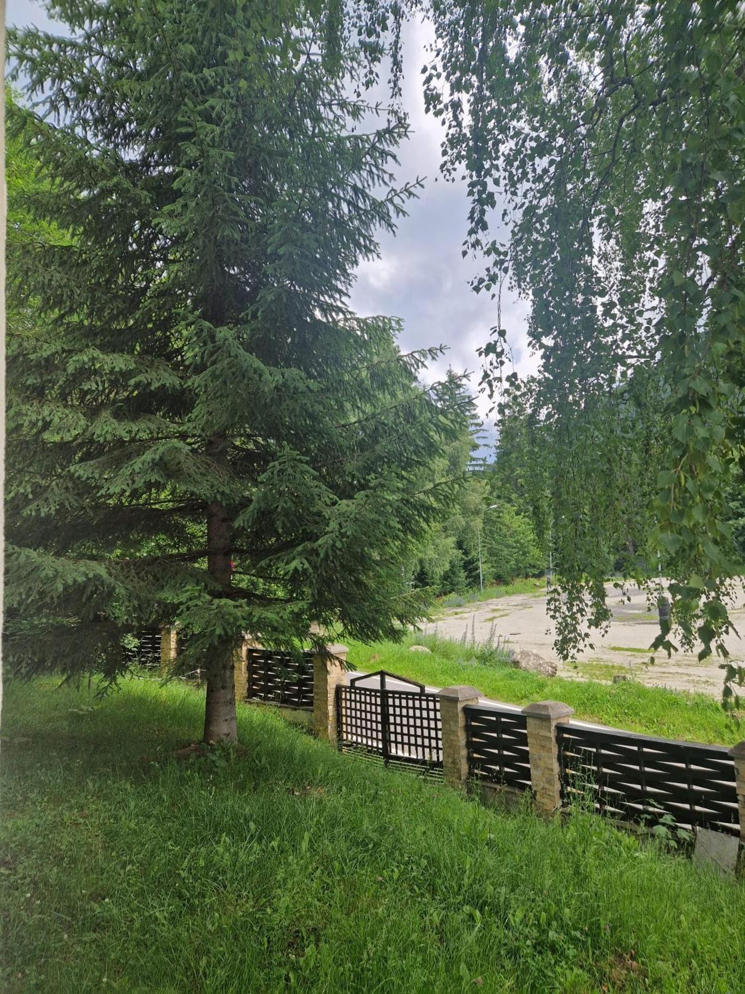 Vila Pinul Si Mesteacanul Poiana Brasov Buitenkant foto